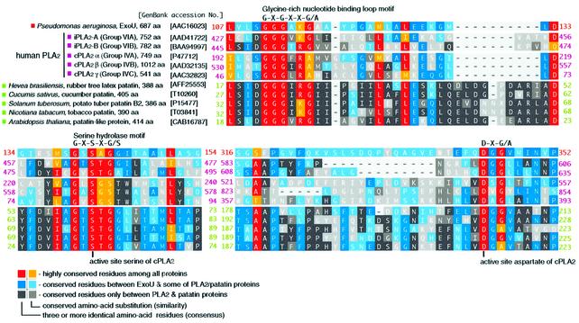 graphic file with name cdg290f4.jpg