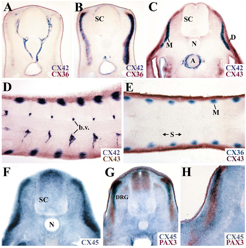 Fig. 4A–H