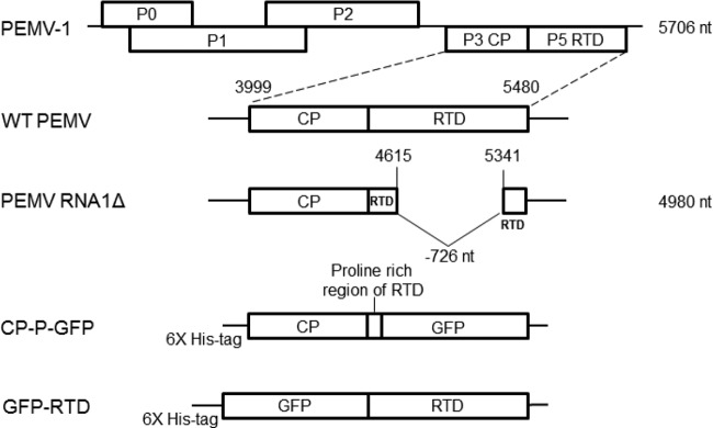 FIG 1