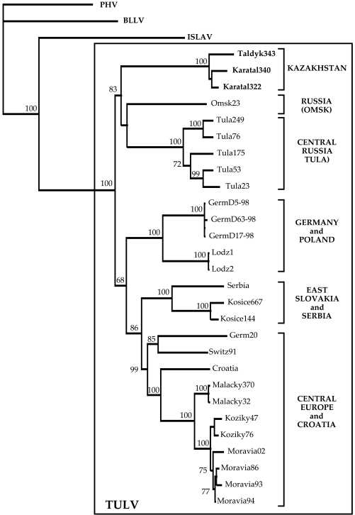 Fig. (1)