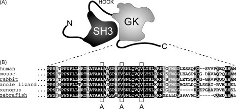 Fig. 1