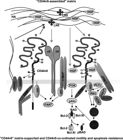 FIGURE 9.