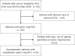 Flow diagram of inclusion and exclusion of patients within the study. FICS = fixation by internal cemented screw.