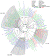 Fig. 3.