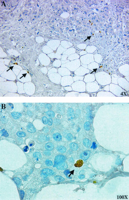 FIG. 7.