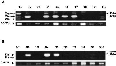 FIG. 5.