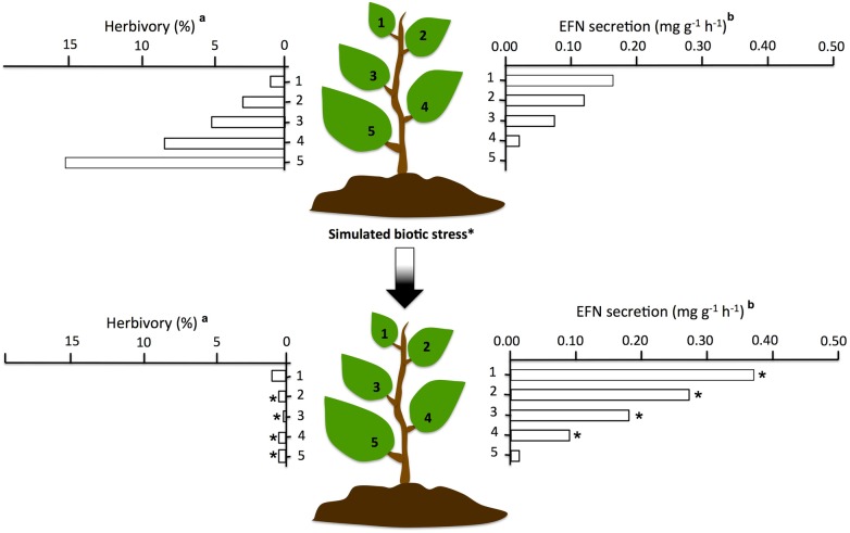 Figure 2.