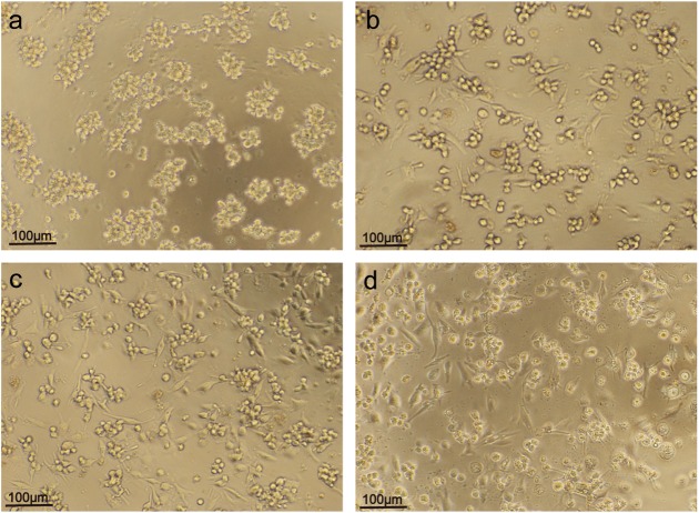 Fig. 2.