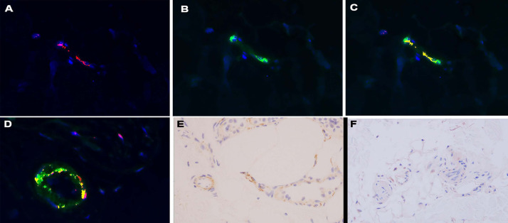 Fig 15