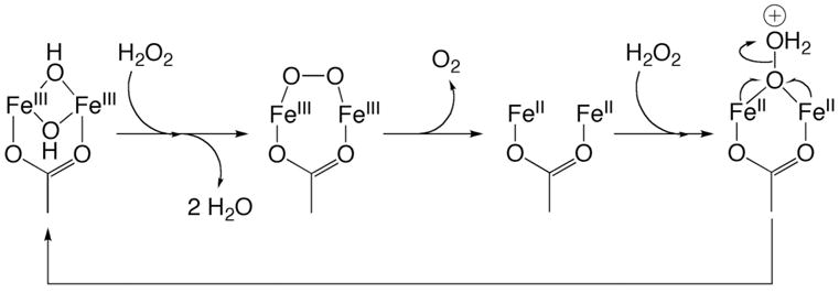 Scheme 3