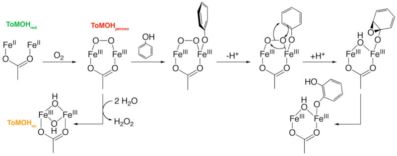 Scheme 4