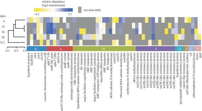 Figure 2.