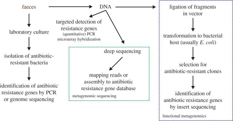 Figure 1.