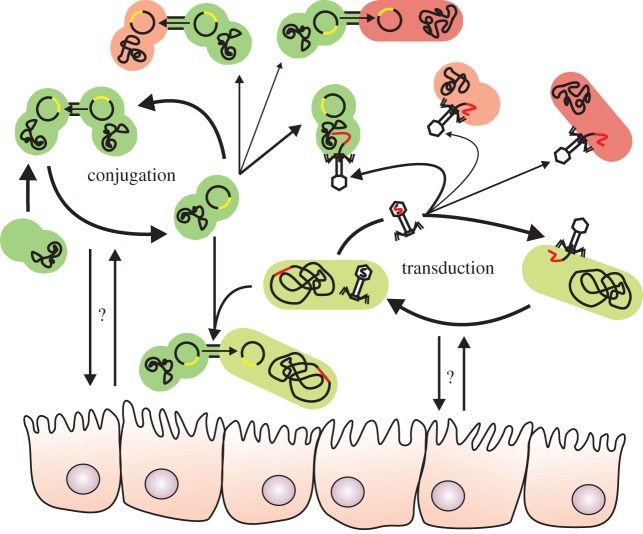 Figure 3.