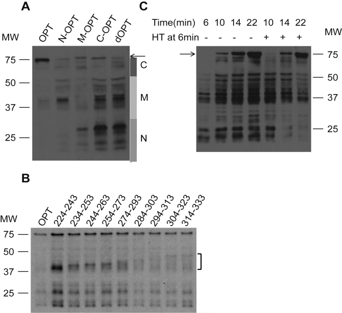 Figure 2.