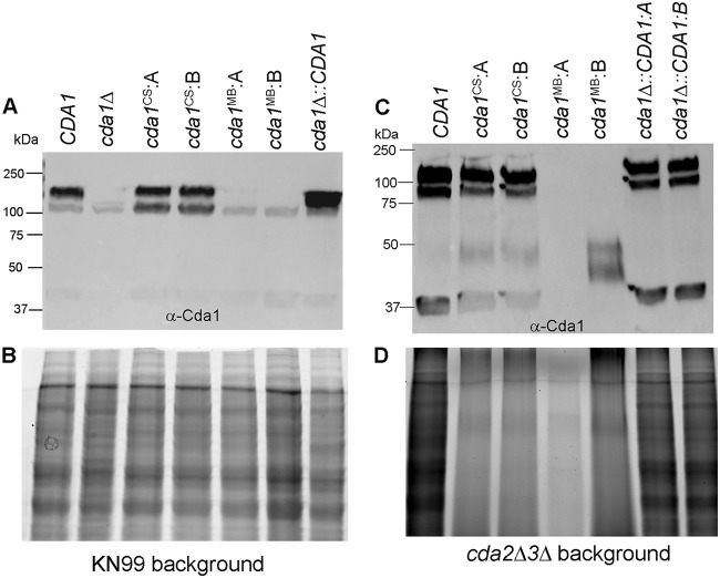 FIG 4