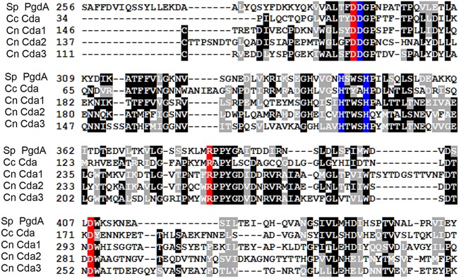 FIG 3