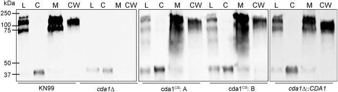 FIG 5