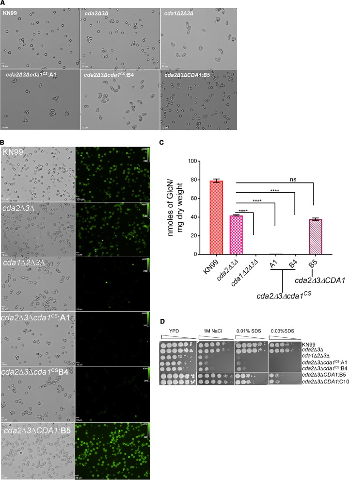 FIG 6