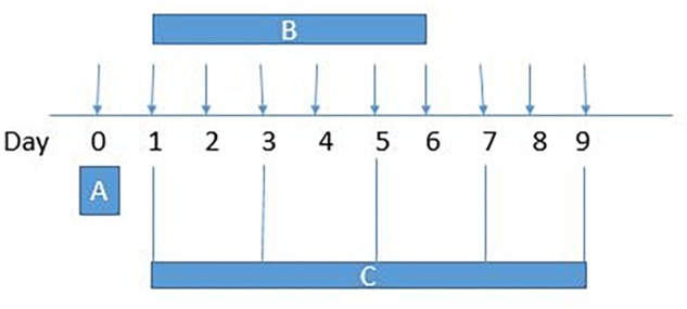 FIGURE 2