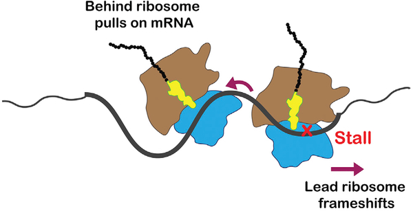 Figure 6.