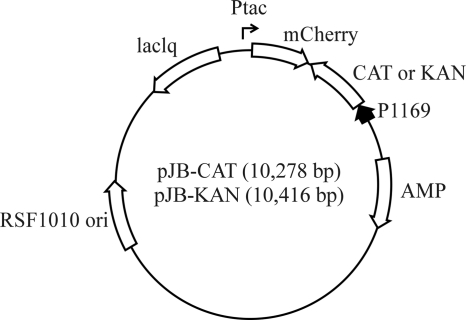 Fig. 1.