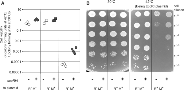 Figure 5.