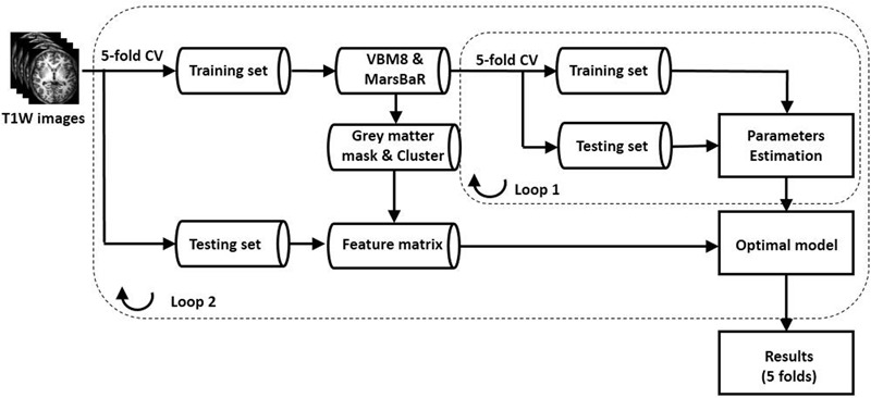 FIGURE 1