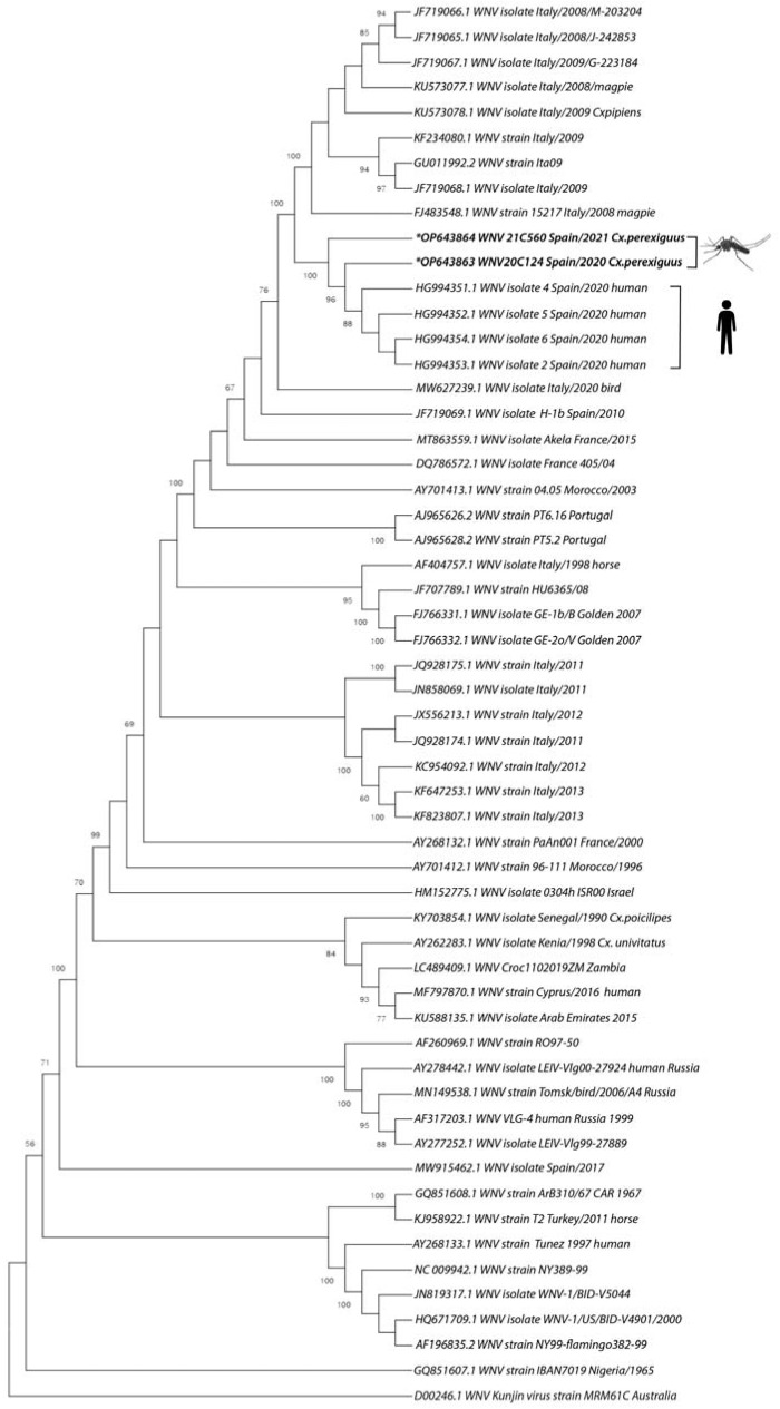 Figure 2