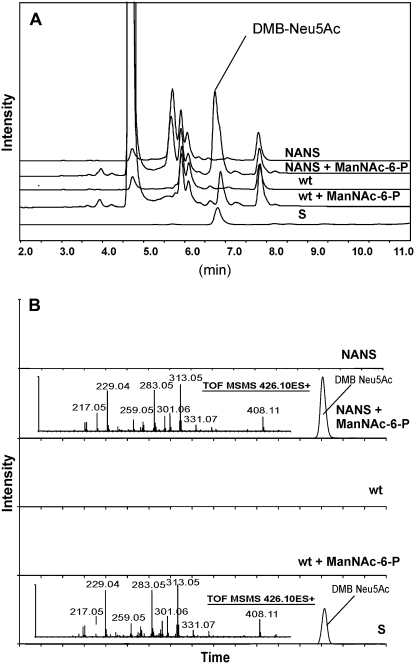 Figure 5.