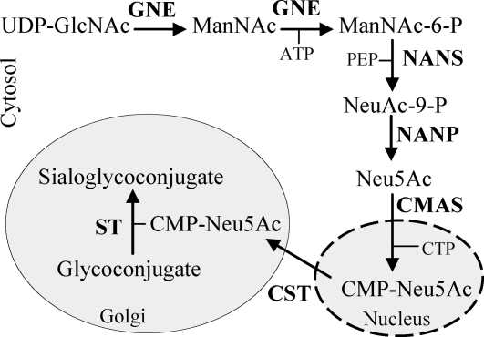 Figure 1.