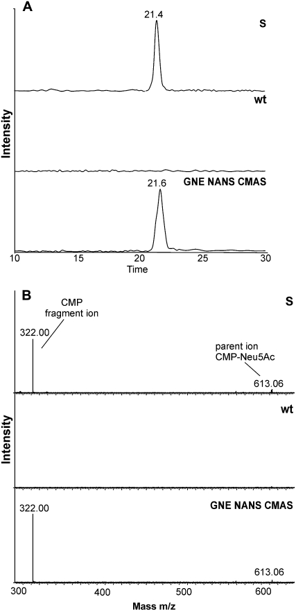 Figure 7.