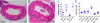 Fig. 3.