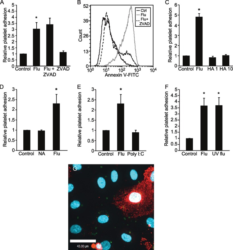 FIG 2