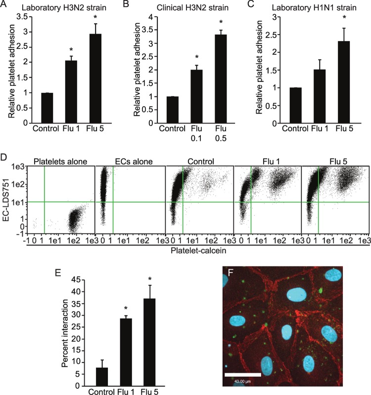 FIG 1