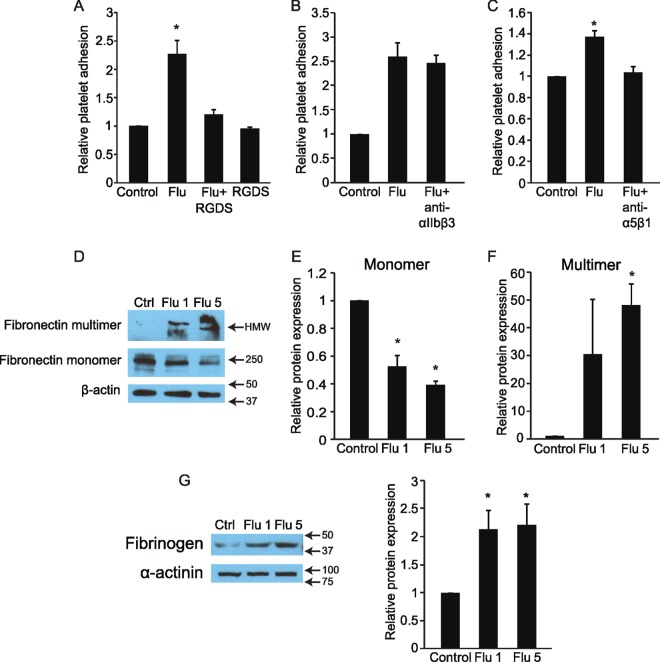 FIG 4