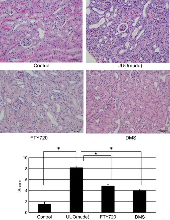 Figure 10.