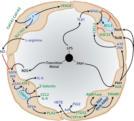 Fig. 10.