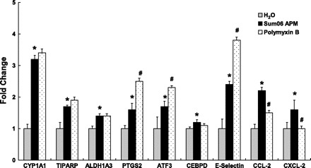 Fig. 9.