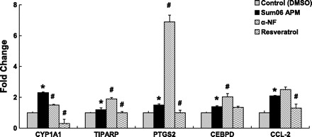 Fig. 8.