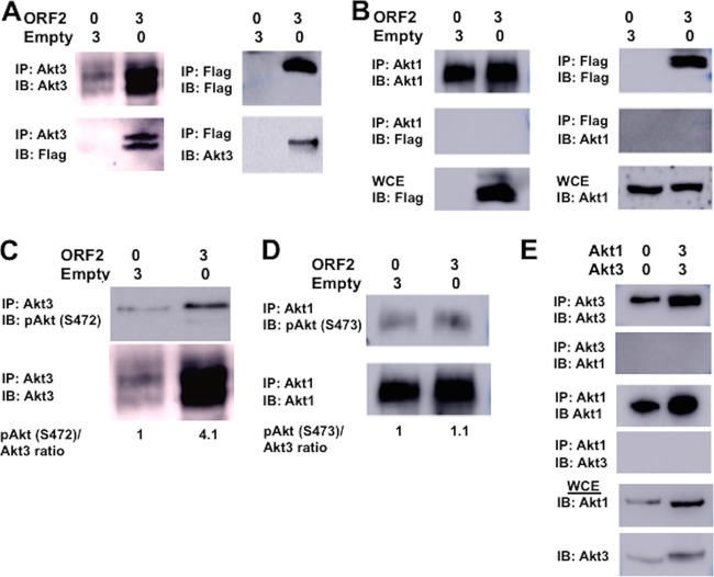 FIG 10