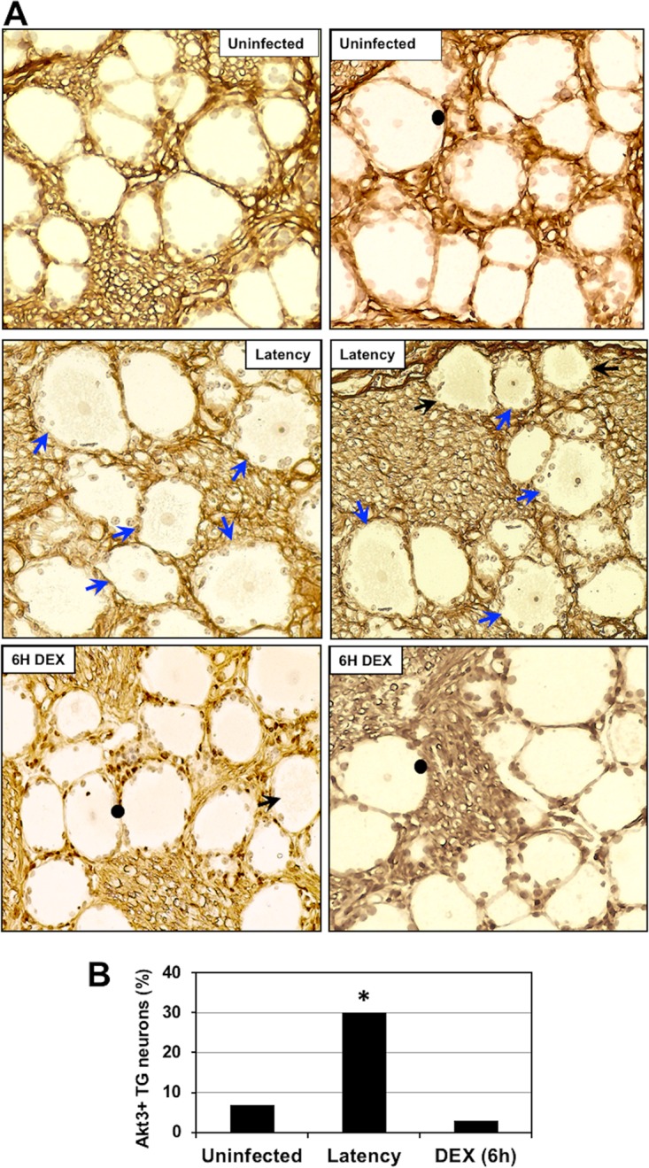 FIG 6