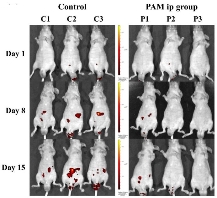 Figure 14