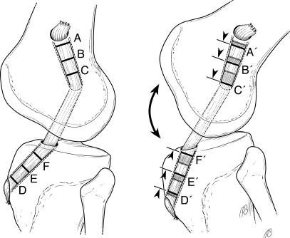 Fig. 8