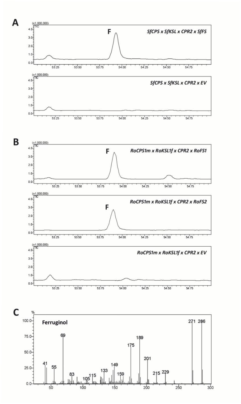 Fig 10