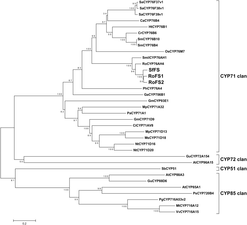 Fig 8