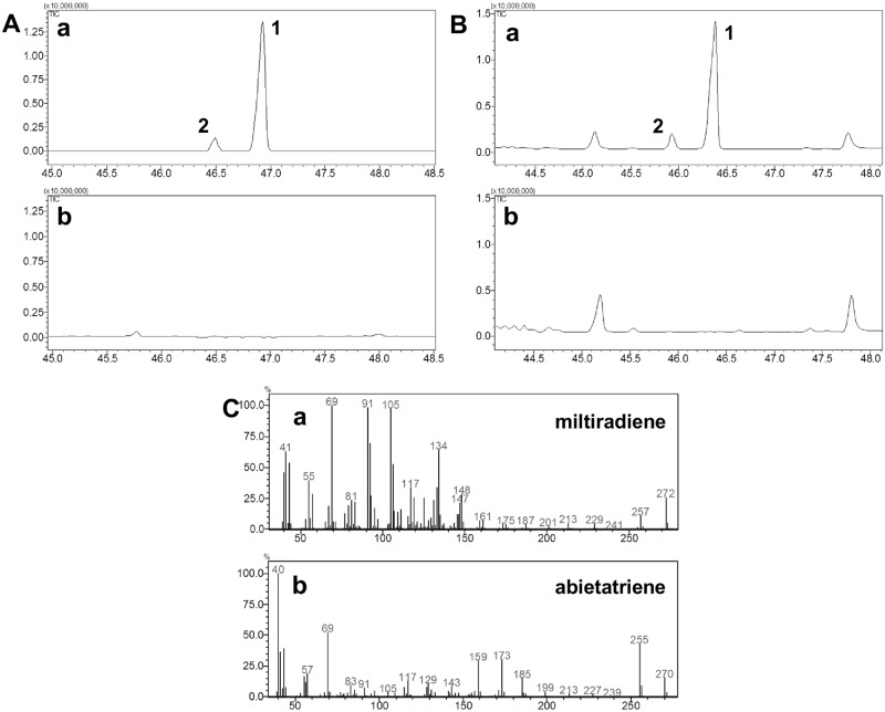 Fig 6