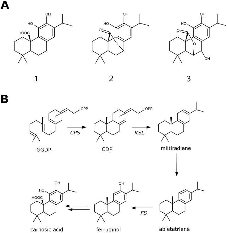 Fig 1