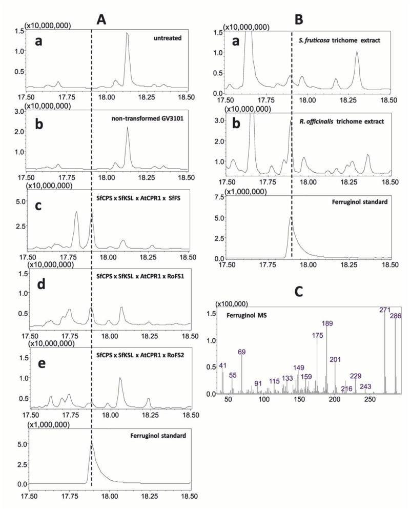 Fig 11