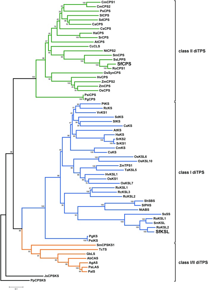 Fig 3